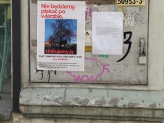 Nie będziemy płakać po wierzbie. Spotkanie w obronie drzewa