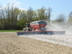 Jak wapnować pole pod kukurydzę? Sprawdź najważniejsze zasady