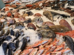 To jedna z najbardziej rakotwórczych ryb. Kupujemy ją, bo jest tania