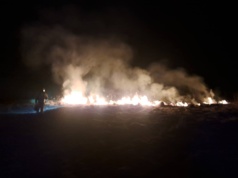 Nocny pożar traw. Interweniowała straż pożarna i policja