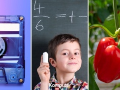 Morderczy quiz z wiedzy ogólnej. 13/20 tylko dla chodzących encyklopedii