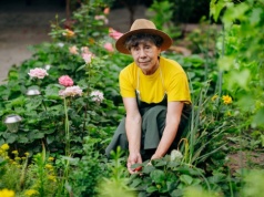 Zakop w ogródku, a zgarniesz majątek. Wielu tak robi na szczęście