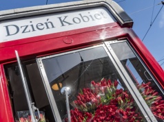 Wyjątkowy Dzień Kobiet w Krakowie. Na tory wyjedzie zabytkowy tramwaj pełen czerwonych tulipanów