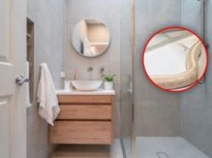 Metrowy wąż w łazience. Policja ustala, jak dostał się tam gad