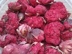 Nie liście, nie owoce. Napar z egzotycznych kwiatów działa jak naturalne wsparcie dla serca