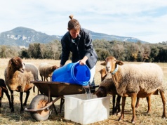 Kobiety na halach. Coraz więcej pań w zawodach juhasa i bacy