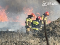 Duży pożar nieużytków w rejonie Lotniska Chopina. Panuje duże zadymienie. Trwa akcja gaśnicza