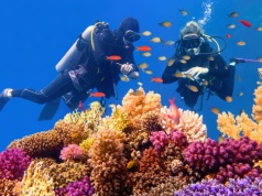 Egipskie wakacje w luksusie 🌊🐠 All inclusive w 4* hotelu nad Morzem Czerwonym za 2379 PLN