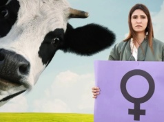 Dzień Kobiet, a feministki ubolewają nad losem krów. Grzmią o "kulturze gwałtu"