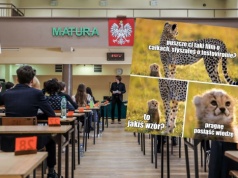 Lublin: studenci pomogą uczniom przed maturą w ramach "Koleżeńskich korepetycji"