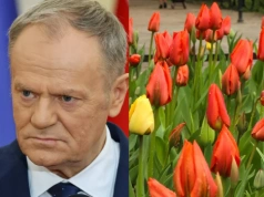 Donald Tusk chciał uczcić Dzień Kobiet. Jego wpis wywołał jednak lawinę kpin