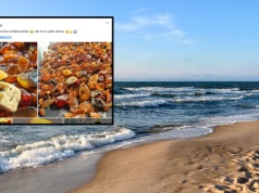 W nocy w Bałtyku znaleźli skarby. "Jakie zbiory"