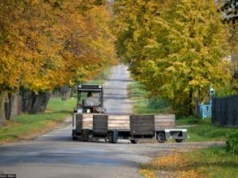 Polscy sadownicy liczą na Ukrainę. Rośnie cena polskiego przysmaku