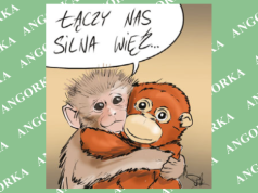 Niezwykła przyjaźń makaka i pluszaka. Wzruszające zdjęcia podbijają internet