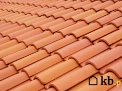 Który dach przetrwa 100 lat? AI porównała blachę, ceramikę i papę