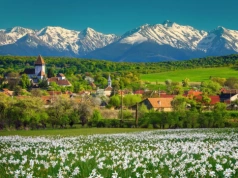 Zobacz rolnictwo Japonii i Rumunii. Ruszają zapisy na wyjazdy studyjne