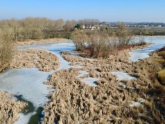 Jeziorko Powsinkowskie zarasta. „Trudno dostrzec taflę wody”. Walczą o ratunek dla starorzecza Wisły