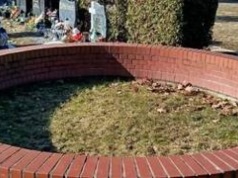 We Wrocławiu rusza pierwszy „Ogródek Pamięci”. To cmentarz bez pomników i wyznaczonych kwater