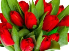 Zaproszenie na imieniny Krystyn - piątek, 13 marca