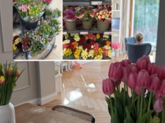 Kupił tulipany w Lidlu i wywołał oburzenie. "W kwiaciarni zapłacilibyśmy 750 zł"