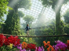 Radni zorganizują spotkania w sprawie Dżungli 360. Miejskie konsultacje „nie spełniają standardów”