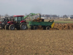 Czas na wiosenny obornik. O jakich zasadach należy pamiętać?