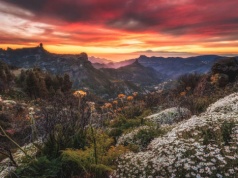 Sensacyjne odkrycie w Bentaydze: neolityczna sierp z Gran Canaria