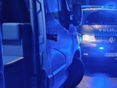 Zderzenie dwóch aut z łosiem. Są utrudnienia na drodze krajowej nr 19