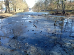 Nad Kanałem Bydgoskim nadal znajduje się pokrywa lodowa. Zjawisko nie widziane u nas od lat