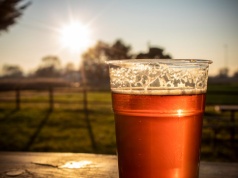 Zostało ci 20 butelek wódki po weselu? Sprawdź, czy możesz je oddać do sklepu