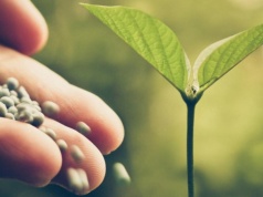 Wojna na Bliskim Wschodzie wpływa na ceny gazu, obawy rolników