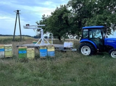 Import miodu – sprowadzamy dużo i za grosze. Polskie pszczelarstwo pod wielką presją!