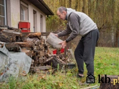 Ceny drewna opałowego w marcu 2026 - najdroższe gatunki wciąż kosztują majątek