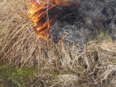 Oświęcim. Szybka interwencja służb po zgłoszeniu pożaru traw