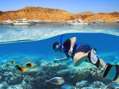 Egipskie nurkowanie w świetnej cenie 🏖️🤿✨ All inclusive w Marsa Alam za 1568 PLN