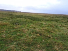 Nowe dopłaty GAEC 2 dla rolników od 2026 r. - nawet 2 387 zł/ha! Kto może skorzystać z dopłat?