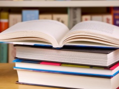 Powieść uznana za "najlepsze dzieło literackie". Jest lekturą szkolną