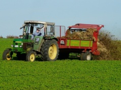 Rolnicy wyjeżdżają z obornikiem na pola. Błędy mogą kosztować dopłaty