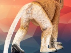 Prawdziwa gratka dla Łowców w Amazon PL! Figurka nosacza sundajskiego za jedyne 16,99 zł!