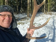 Idziesz na spacer do lasu? Rozglądaj się. Możesz je znaleźć pod nogami