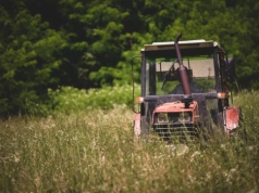 Bezumowne korzystanie z pola. Czy po ugodzie sąsiad może domagać się kolejnych pieniędzy?