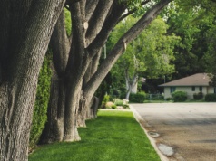 Jak połączyć aktywny styl życia z ciszą i spokojem podwarszawskiej natury?