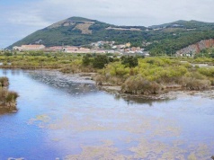 Program LIFE pozwoli na przywrócenie mokradeł w UE?