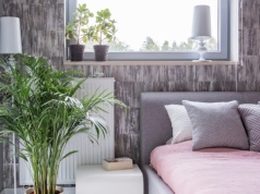 Modne rośliny, które pomagają poprawić jakość powietrza w sypialni. Projektanci wnętrz je uwielbiają