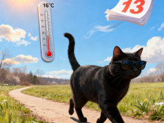 Piątek trzynastego pod znakiem wiosennej pogody. W Łódzkiem nawet 16 stopni Celsjusza