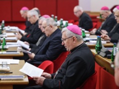 Jakie są zasady funkcjonowania Komisji niezależnych ekspertów?