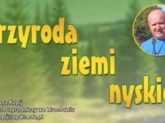 Przyroda ziemi nyskiej: Enigmatyczna zielonka