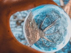 Biohacking umysłu: 5 mikronawyków, które odmłodzą Twój mózg o dekadę