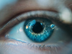 "Myślę, więc jestem". Badacze mówią, co dziś naprawdę świadczy o inteligencji