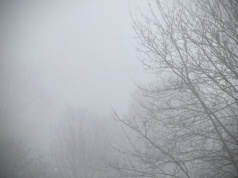 Gęsta mgła nad Lubelszczyzną. Widzialność miejscami spadła do 100 metrów